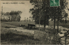 Entre Misy et Villeneuve - La Pature