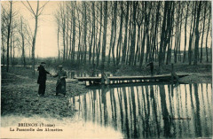 Brienon - La Passerelle des Alouettes -
													89 Yonne
												
