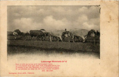 Labourage Nirvenais No. 2 -
													58 Nièvre
												