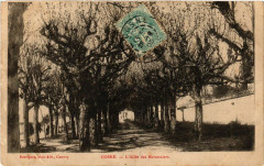 Cosne - L'Allée des Maronniers