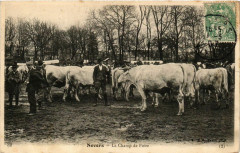 Nevers - Le Champ de Foire à Nevers