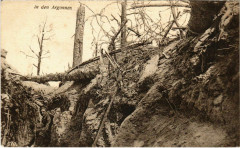 In den Argonnen - Tranch - Tranchee