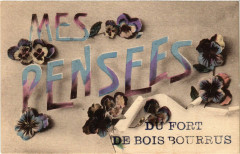 Mes Pensees Du Fort De Bois Bourrus