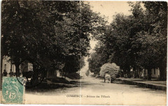 Commercy-Avenue des Tilleuls à Commercy