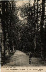 Ligny-en-Barrois (Meuse) -Le Parc- Allée des Tilleuls à Ligny-en-Barrois