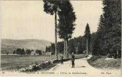 Environs De Gerardmer - L'Echo de Ramberchamp à Gérardmer