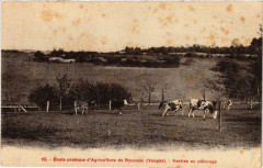 Ecole pratique d'Agriculture de Rouceux.