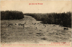 Les Hautes Vosges - Paturage et Chaue du Roseberg - a 1126 m d'alt -
													88 Vosges
												