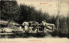 Les Vosges - Les Modes de Transport
