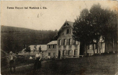 Ferme Haycot bei Markirch i. Els