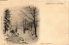 L'Hiver dans les Vosges Pres de Longemer