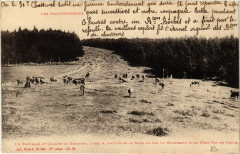 Un Paturage et Chaume du Rossberg -
													88 Vosges
												