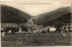 Les Vosges - Paturages du Rudlin et Vallée du Louchbach