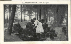 Martigny-les-Bains La Source Savonneuse à Martigny-les-Bains
