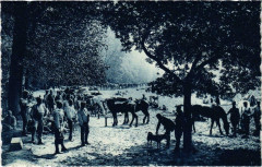 Artillerie au Bivouac - 1915 -
													60 Oise
												