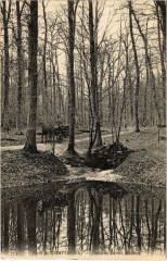 Compiegne - Foret de Compiegne - Fontaine Larris-Mathieu à Compiègne
