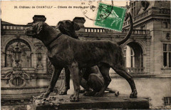 Chantilly- Chateau, Chiens de meute France à Chantilly