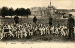 Chantilly Promenade de la Meute à Chantilly