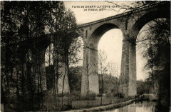 Foret de Chantilly Coye - Le Viaduc à Chantilly