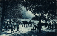 Artillerie au bivouac. Oise 1915 -
													60 Oise
												