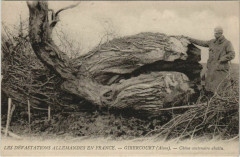 Gibecourt Chene centenaire abattu