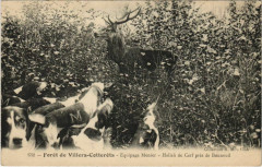 Villers Cotterets Hallali de Cerf pres de Bonneuil France -
													02 Aisne
												