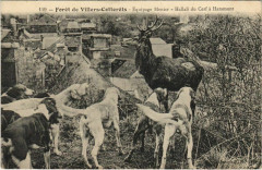 Villers Cotterets Equipage Menier France -
													02 Aisne
												