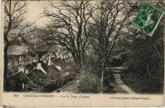 Chateau Thierry Sur le Vieux Chateau France