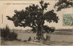 Bohain - Chene Brule par les Espagnols en 1636