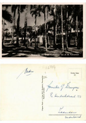 Pc Suriname Paramaribo - D Grote Combéweg van uit de Palmentuin