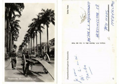 Pc Suriname Paramaribo - Zwartenhovenstraat