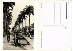 Pc Suriname Paramaribo - Zwartenhovenstraat