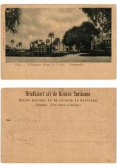 Pc Suriname Paramaribo - Plein - Wilhelmina Boom