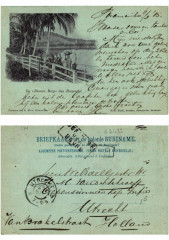 Pc Suriname - De Blauwe Berg van Bergendal