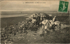 Berck-Plage La Peche aux moules à Berck
