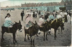 Berck-Plage Promenade a anes à Berck