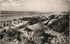 Stella-Plage - Les Dunes et la Plage -
													62 Pas de Calais
												