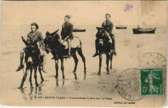 Berck-Plage - Promenades a Ane sur la Plage à Berck