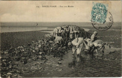 Berck-Plage - Parc aux Muoles à Berck