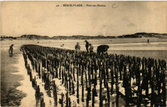 Berck Plage- Parc aux Moules France à Berck