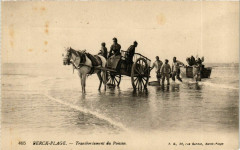 Berck-Plage - Transbordesment du Poisson à Berck