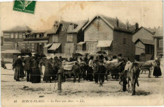 Berck-Plage - Le Parc aux Anes à Berck