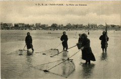 Paris-Plage - La Péche aux Crevettes