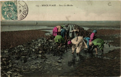 Berck-Plage Parc aux Moules à Berck