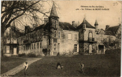 Chateau de Mont-st-Eloi