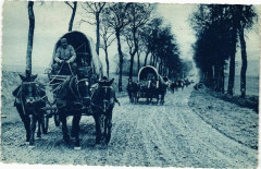 Nom et adresse de l'expediteur