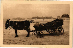 Berck-Plage - Voiture a ane à Berck