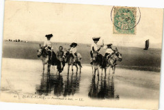 Berck-Plage - Promenade a anes à Berck