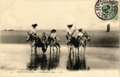 Berck-Plage - Promenade a anes à Berck