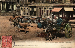 Berck-Plage - Marché aux Anes à Berck